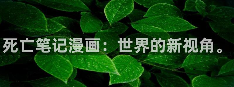 韩漫bl漫：死亡笔记漫画：世界的新视角。