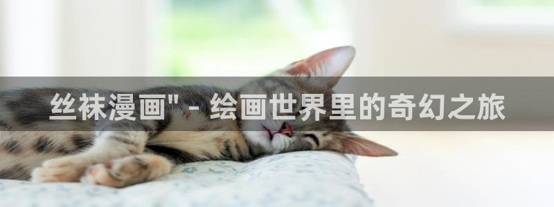 韩漫免费哪里看：丝袜漫画\