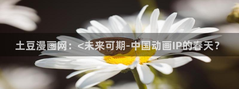韩漫画在线：土豆漫画网：<未来可期-中国动画IP的春天？
