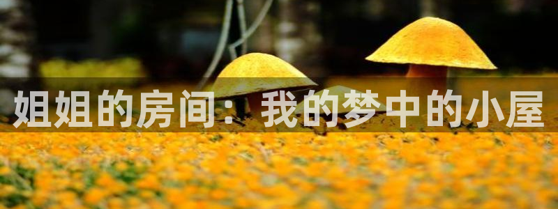 免费在线观看韩漫漫画：姐姐的房间：我的梦中的小屋