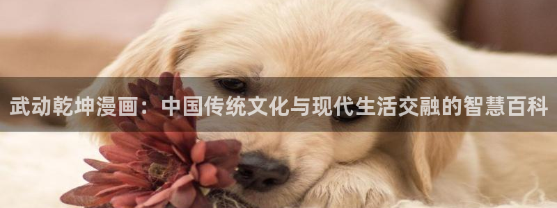 免费漫画韩漫首页在线看：武动乾坤漫画：中国传统文化与现代生活交融的智慧百科