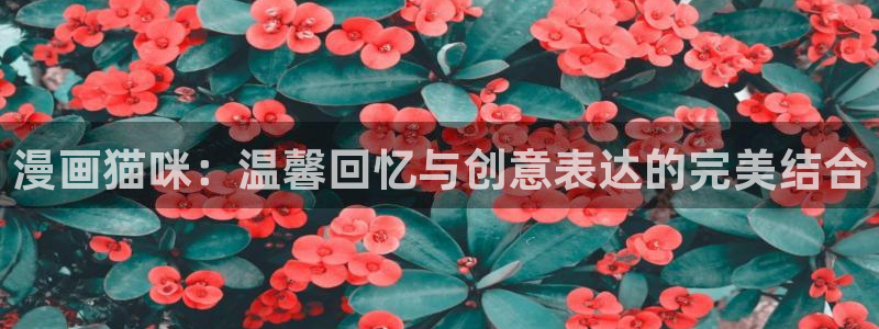 韩漫免费观看下拉式：漫画猫咪：温馨回忆与创意表达的完美结合