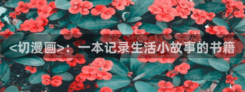 韩漫免费阅读漫画软件：<切漫画>：一本记录生活小故事的书籍