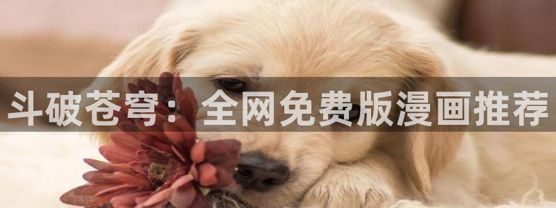 歪歪韩漫网站：斗破苍穹：全网免费版漫画推荐