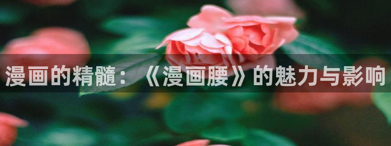 好看的韩漫画免费阅读：漫画的精髓：《漫画腰》的魅力与影响